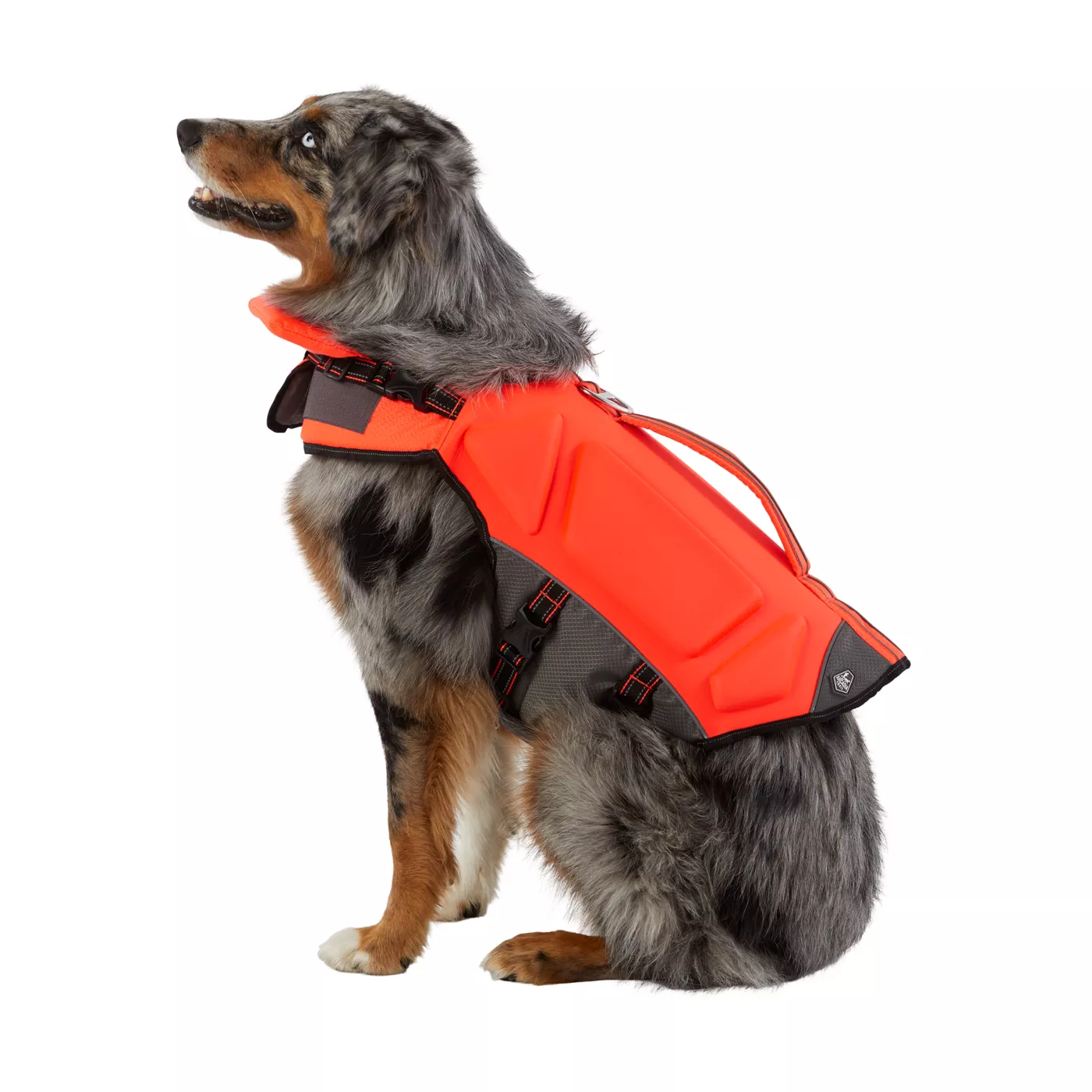 Petsmart dog life jacket discount